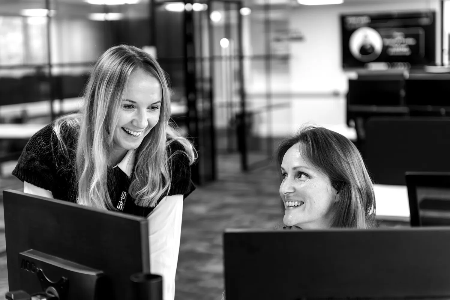 Meet The Team