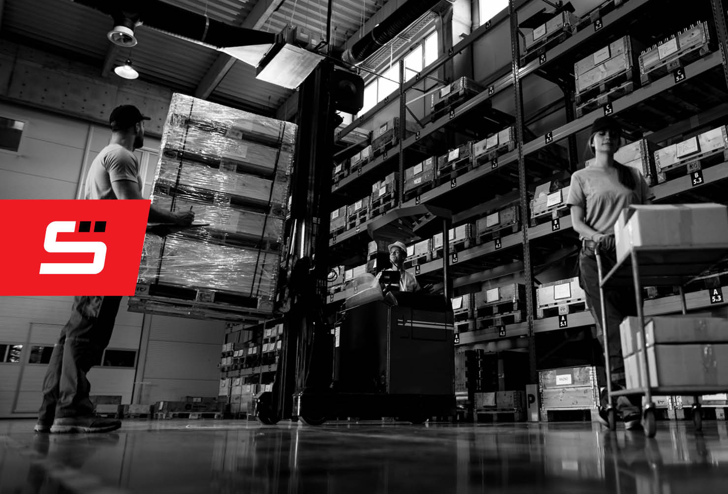 How to Improve Warehouse Organisation in 5-Steps