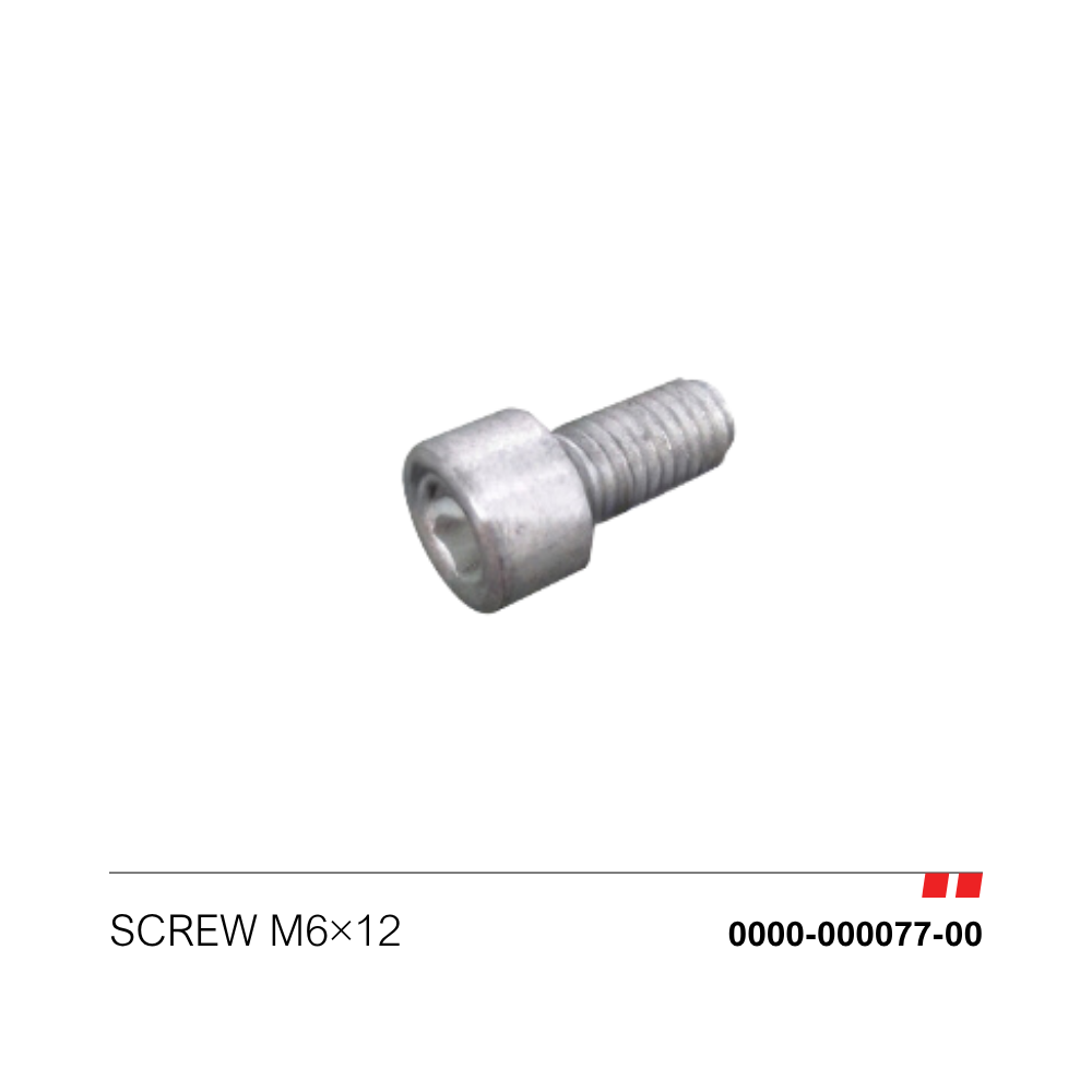 Screw M6*12 [0000-000077-00]