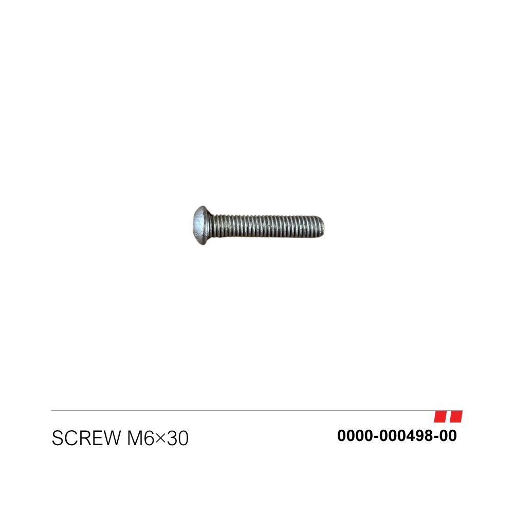 Screw M6*30 [0000-000498-00]