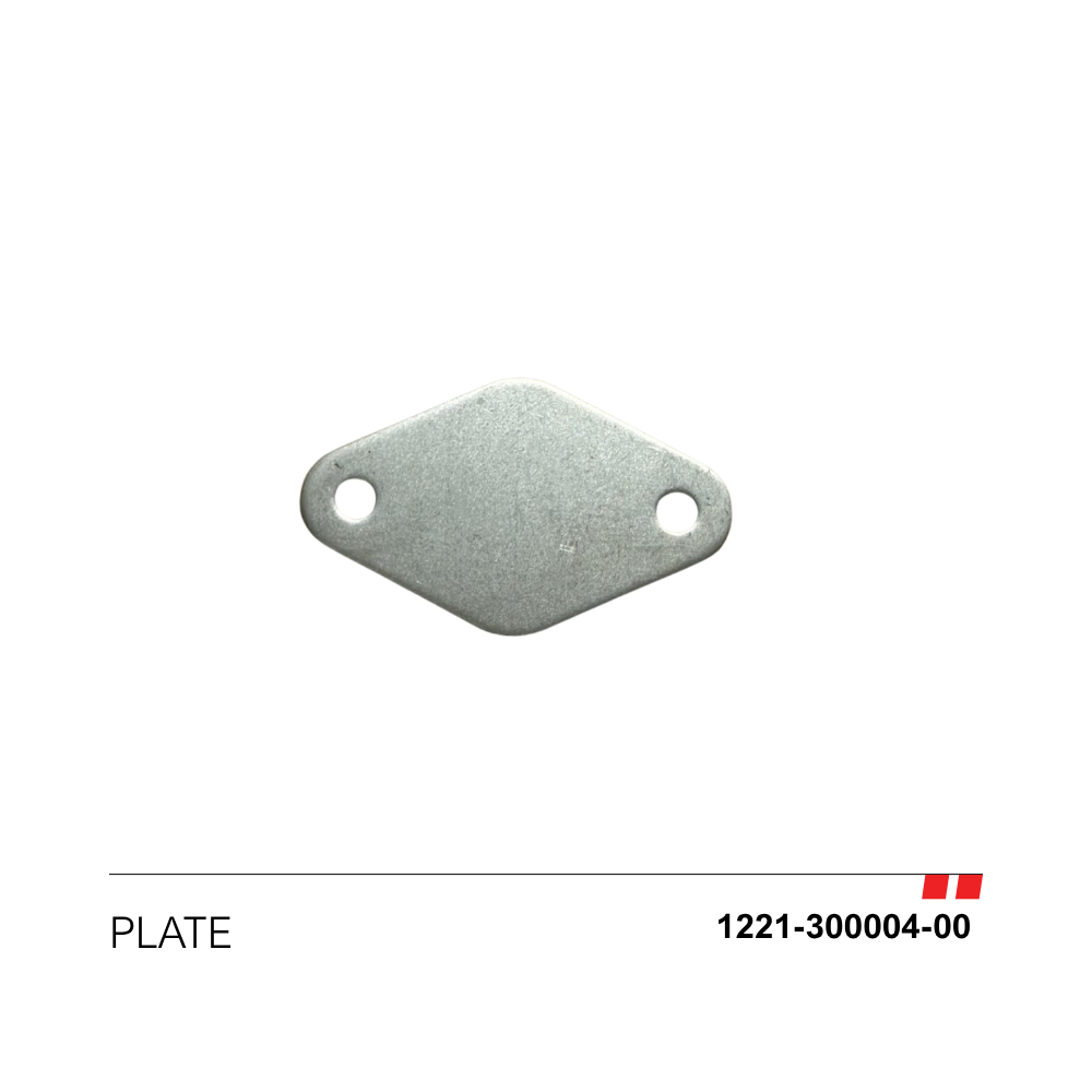 Plate [1221-300004-00]