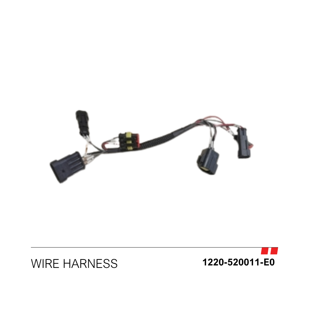 wire Harness [1220-520011-E0]